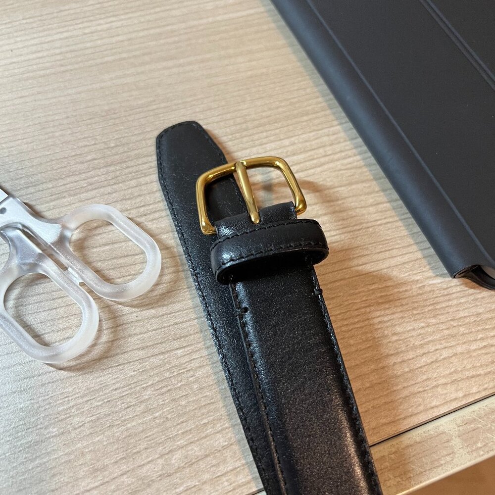 Aritzia Black Belt